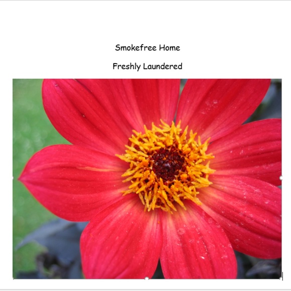 Meet your Posher, Kim - Picture 1 of 1